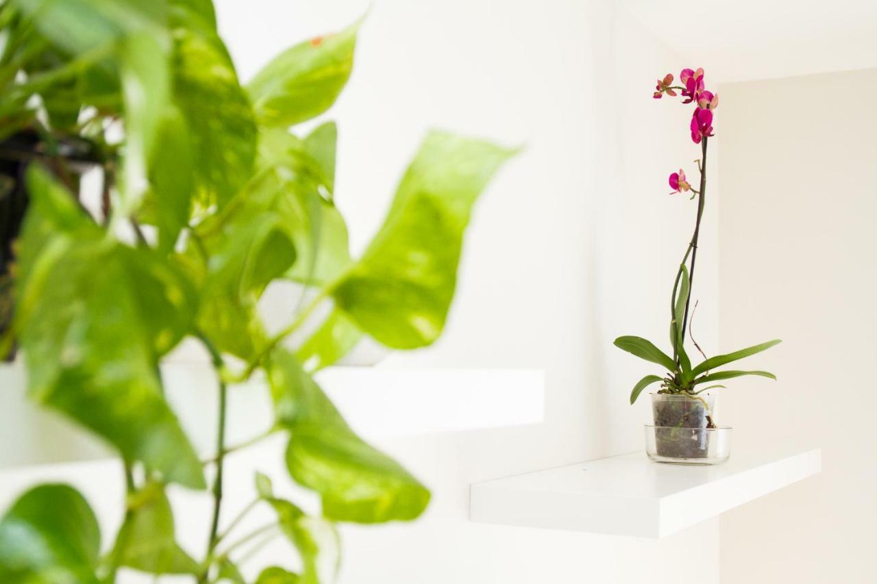 Charming apartment in Pedregalejo Málaga Buitenkant foto